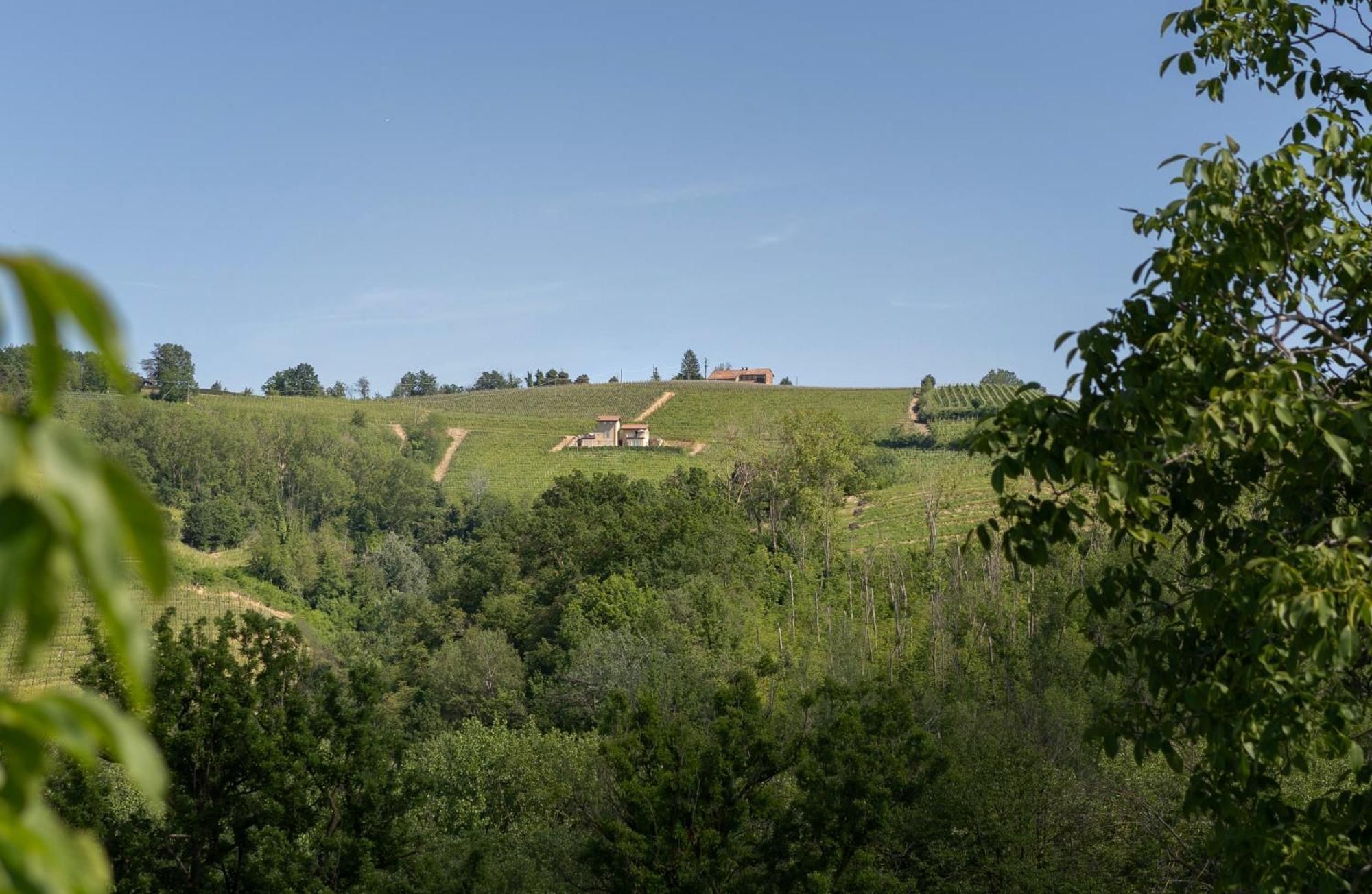 I Ciabot Di Monforte Monforte dʼAlba Exterior foto